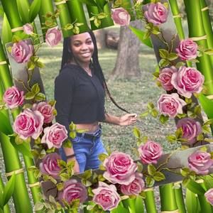 Meet your Posher, Chandra